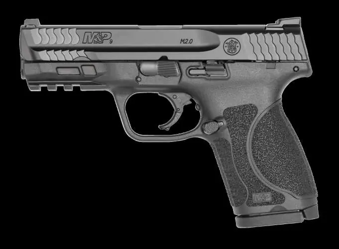 SWLE M&P 9 M2.0 9MM NTS 4'' 15