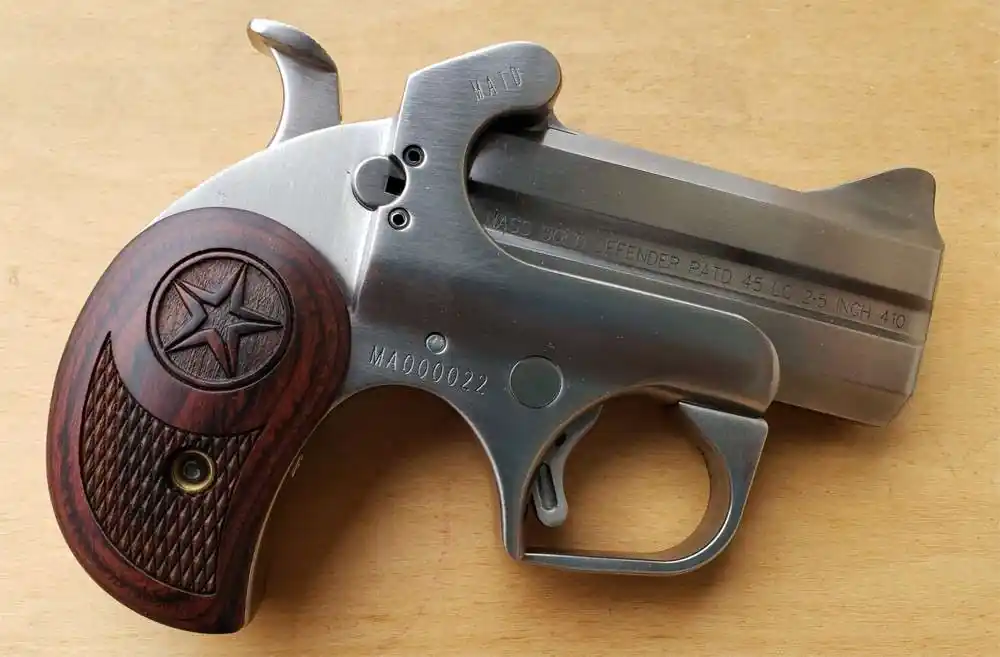 Bond Arms Mass TD .45/410