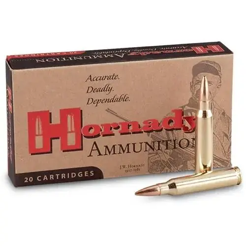 Hornady Custom 300 Winchester Magnum 180 GR InterLock SP 20 Round Box