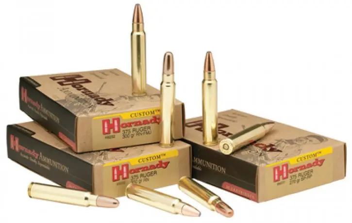 Hornady Superformance 375 Ruger 250 GR GMX 20 Round Box