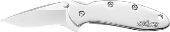 Kershaw 1600 Chive 1.90" Drop Point Plain Bead Blasted 420HC Steel Handle Folding
