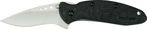 Kershaw 1620 Scallion 2.40" Drop Point Plain Bead Blasted 420HC Steel FRN Black Handle Folding