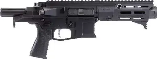 MAXIM SPS PDX 300BLK 5.5" 20RD BLACK