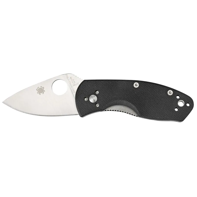 Spyderco C148GP Ambitious 2.25" 8C13MoV Stainless Steel Clip Point G10 Black Handle Folding