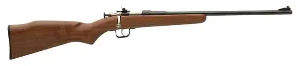 Crickett 00001 Chipmunk 22 LR 1 16.12" Blued American Walnut Right Hand