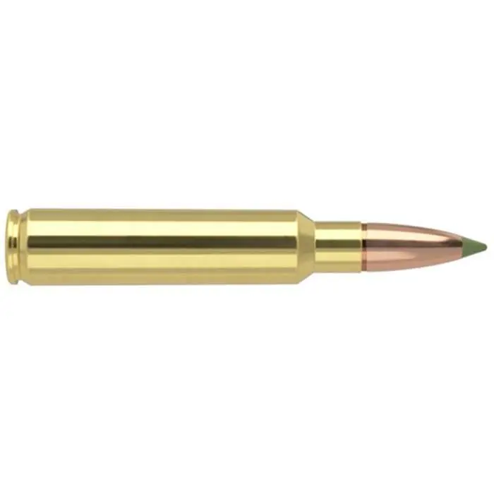 Nosler 40042 E-Tip 33 Nosler 225 gr E-Tip Lead-Free 20 Round Box