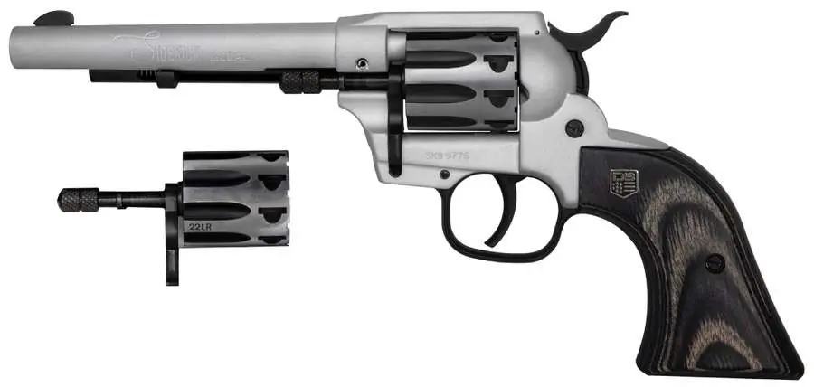 DBF DB SILVER SK 22LR|22M 9 TL