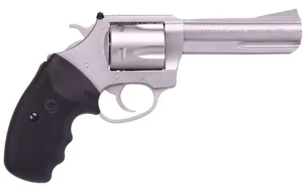 CHA PIT BULL 9MM 5RD SS 4 2