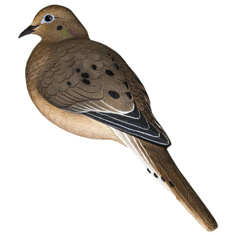 ZINK DOVE DECOY AXP FULL BODY/ 6 PACK