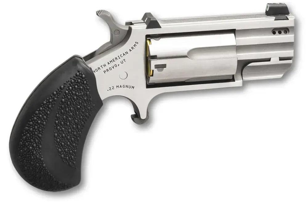 NAA PUGTP Pug 22 Mag 5rd 1" Stainless Steel, Black Polymer Grip